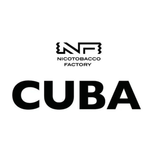 Nicotine Pouches in USA | Tobacco-Free Nic Pouches